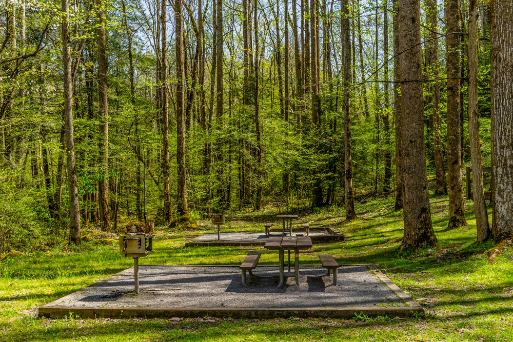 Porters Creek picnic sites in Greenbrier