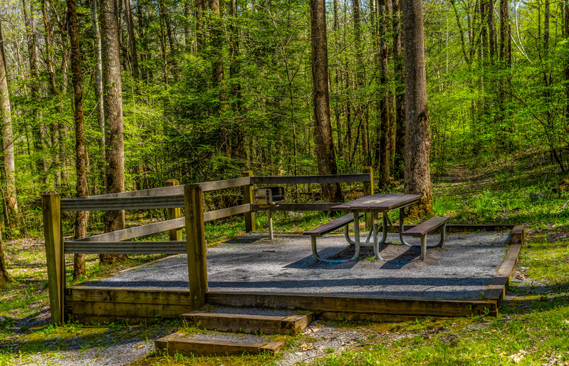 picnic site at Greenbrier Picnic Area