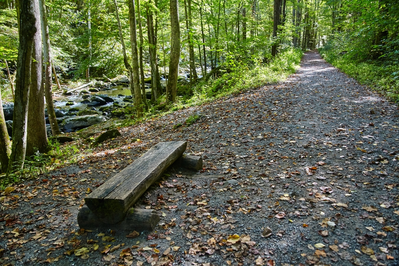 bench next to river on Gatlinburg Trail