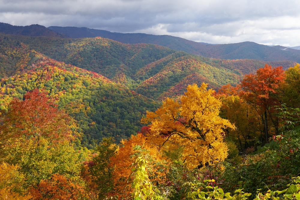 Smoky Mountain fall foliage across landscape